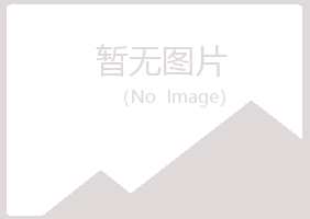 河池傲珊水泥有限公司